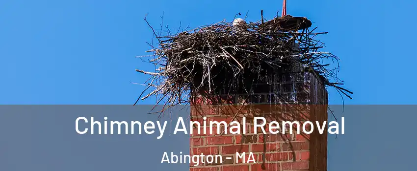  Chimney Animal Removal Abington - MA
