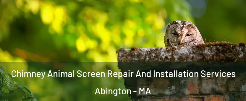  Chimney Animal Screen Repair And Installation Services Abington - MA