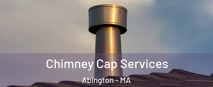  Chimney Cap Services Abington - MA