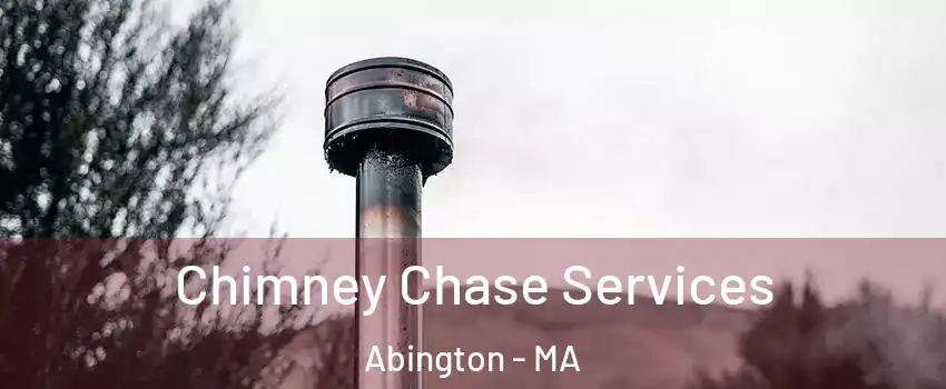  Chimney Chase Services Abington - MA