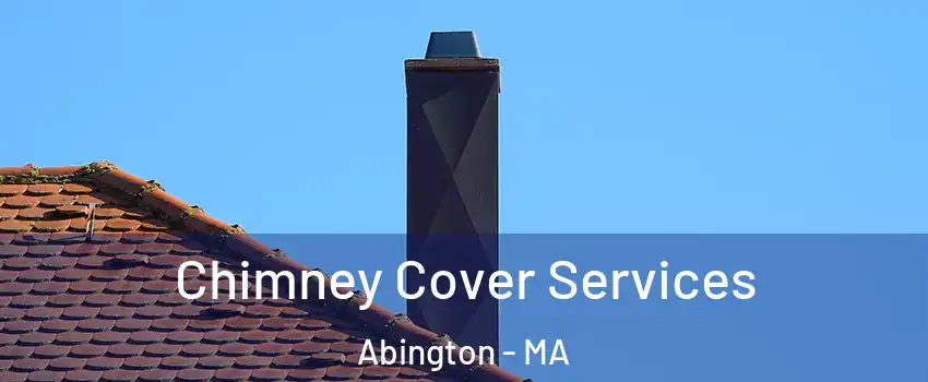  Chimney Cover Services Abington - MA