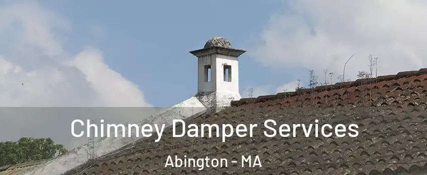  Chimney Damper Services Abington - MA