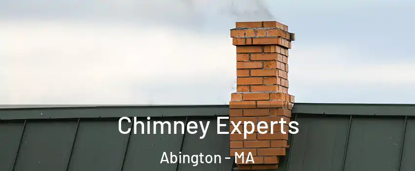  Chimney Experts Abington - MA