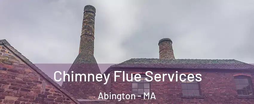  Chimney Flue Services Abington - MA