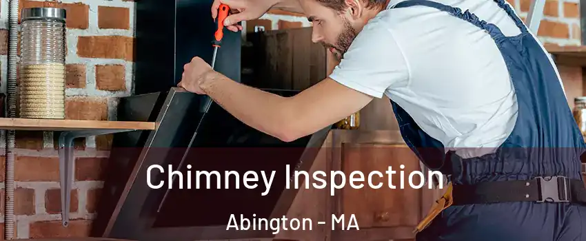  Chimney Inspection Abington - MA