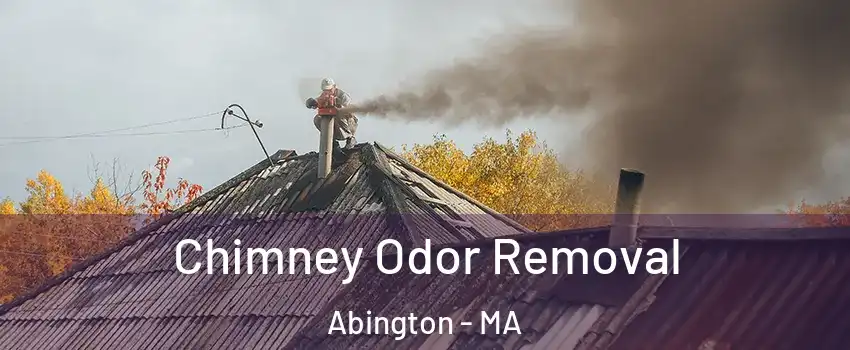  Chimney Odor Removal Abington - MA