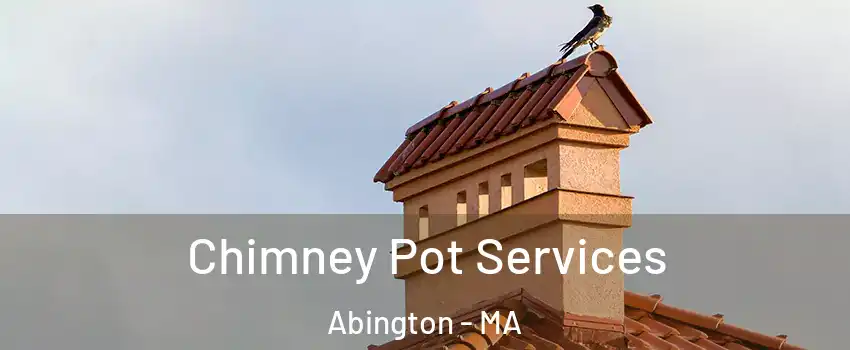  Chimney Pot Services Abington - MA