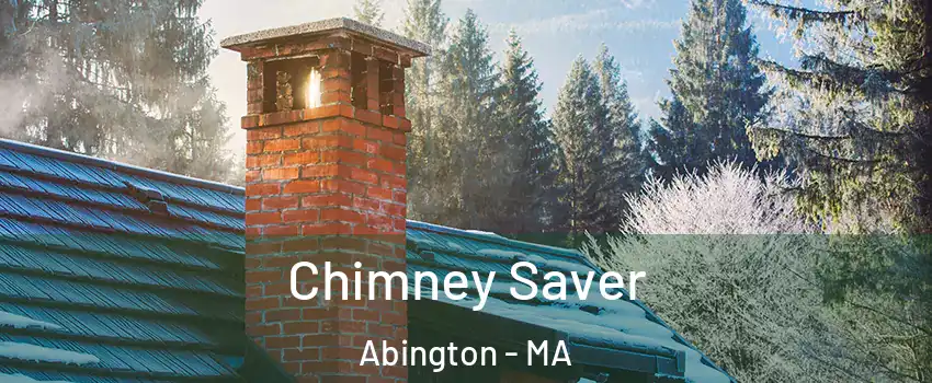  Chimney Saver Abington - MA