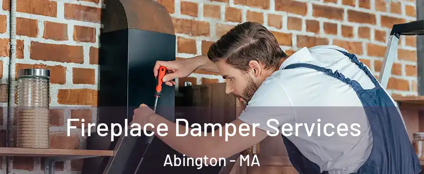  Fireplace Damper Services Abington - MA