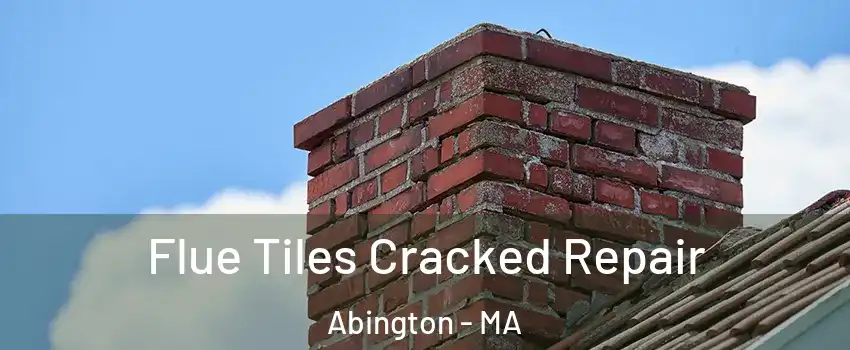  Flue Tiles Cracked Repair Abington - MA