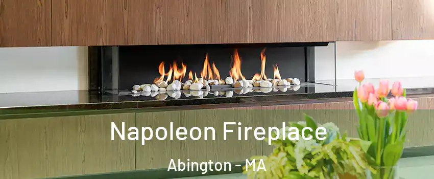  Napoleon Fireplace Abington - MA