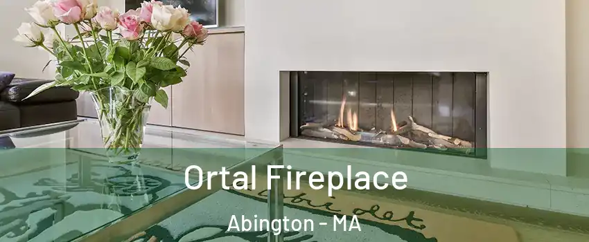  Ortal Fireplace Abington - MA